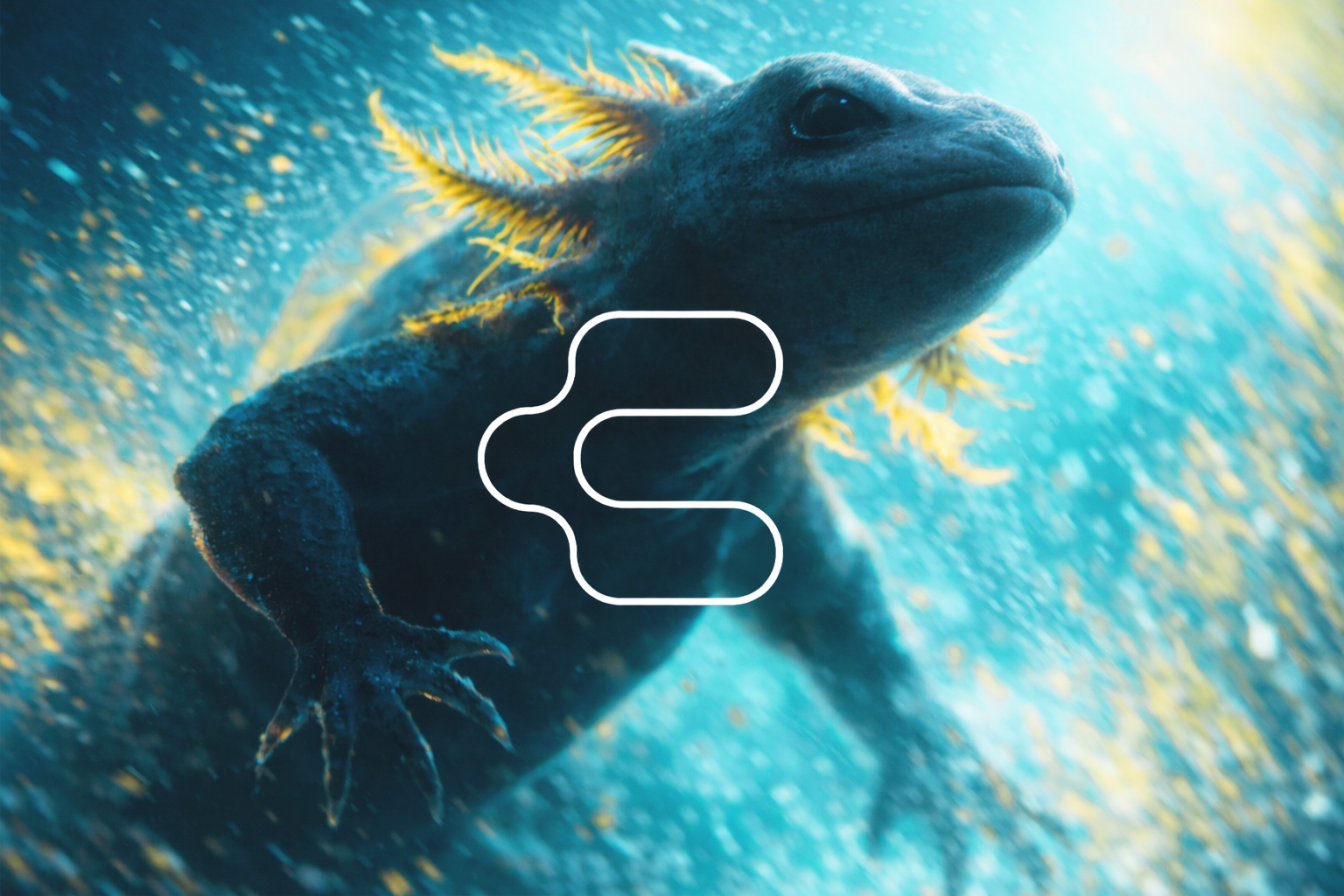 Charlie Concept - Axolotl with brand logo