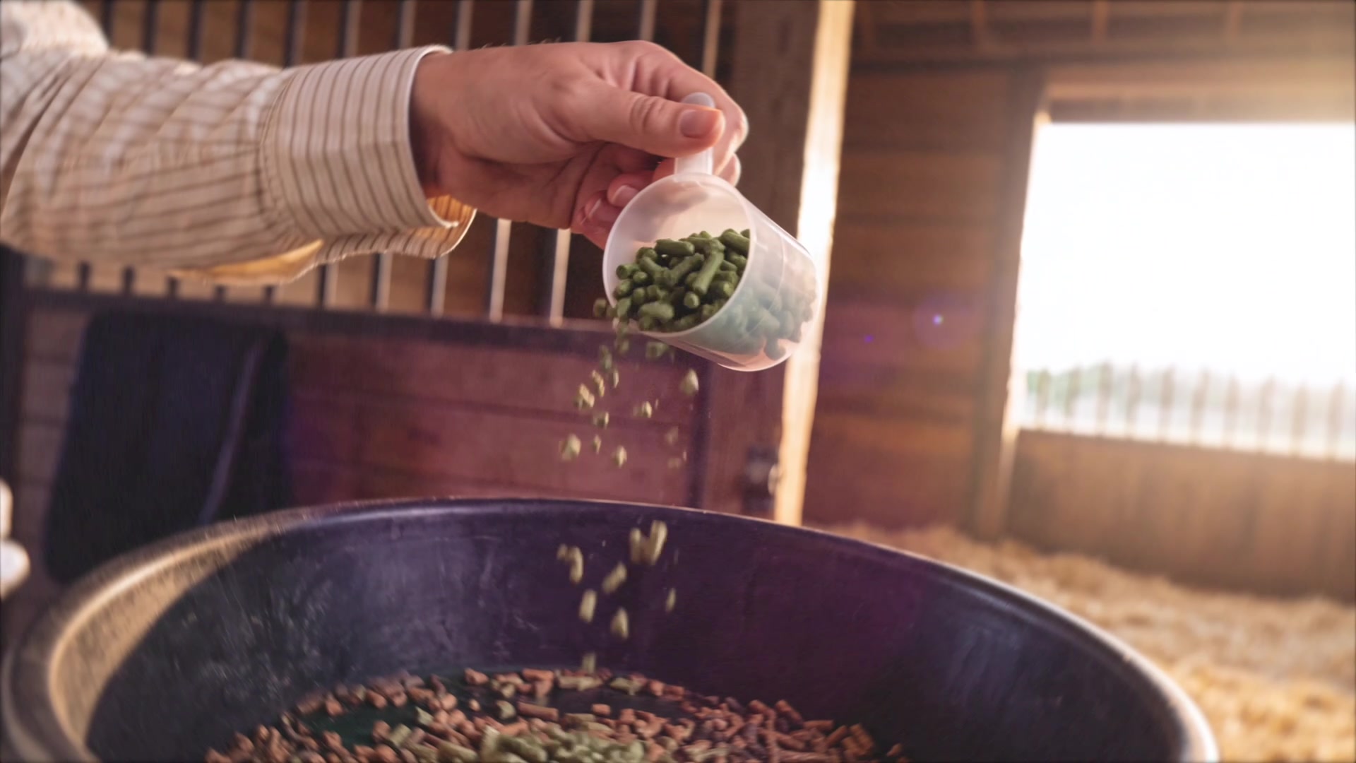 Farnam Apple Elite - Scoop of Apple Elite pellets poured into the feed bucket in golden morning light