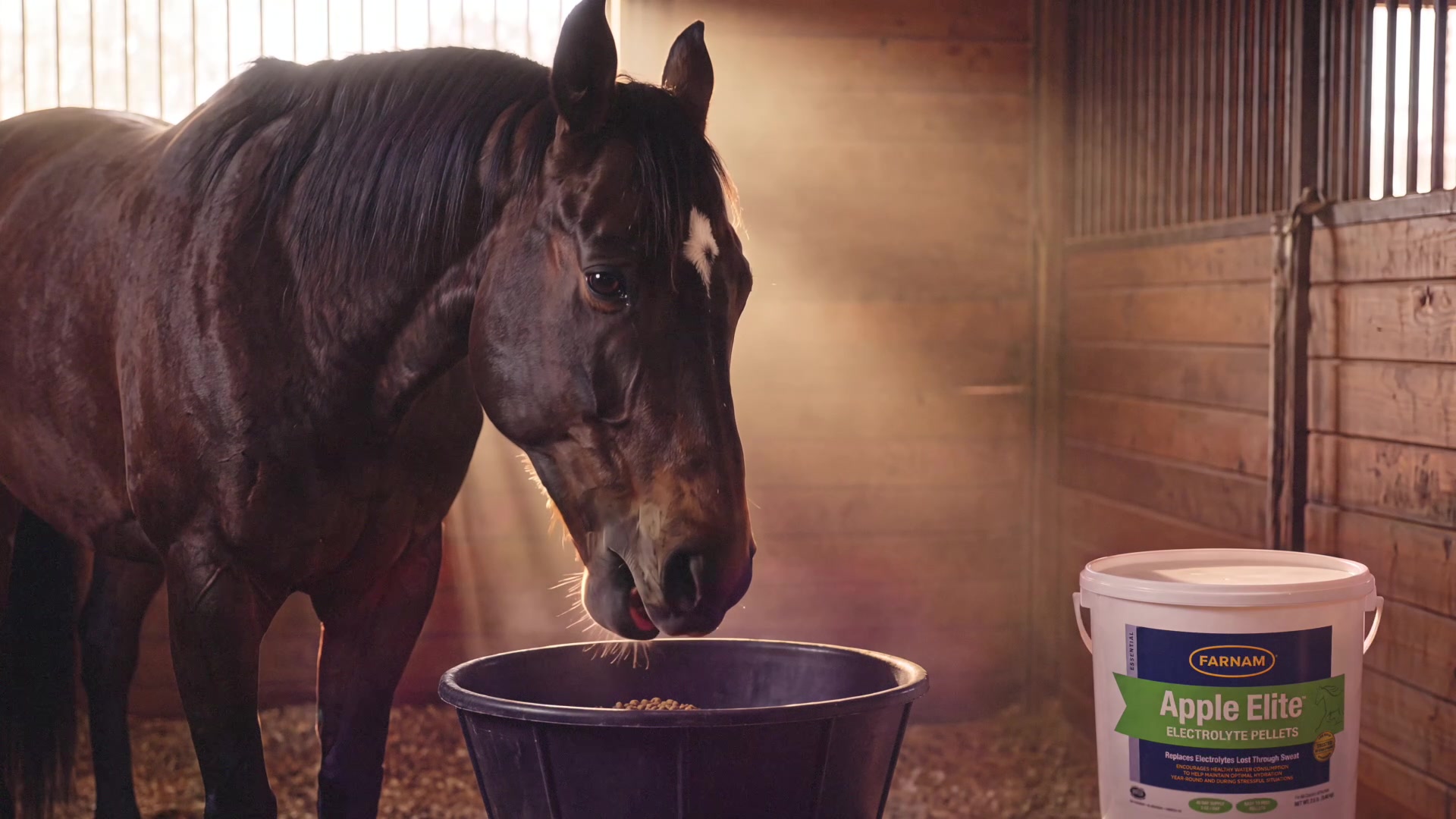 Farnam Apple Elite - Horse eating from the feed bucket with the Apple Elite packshot in the stall