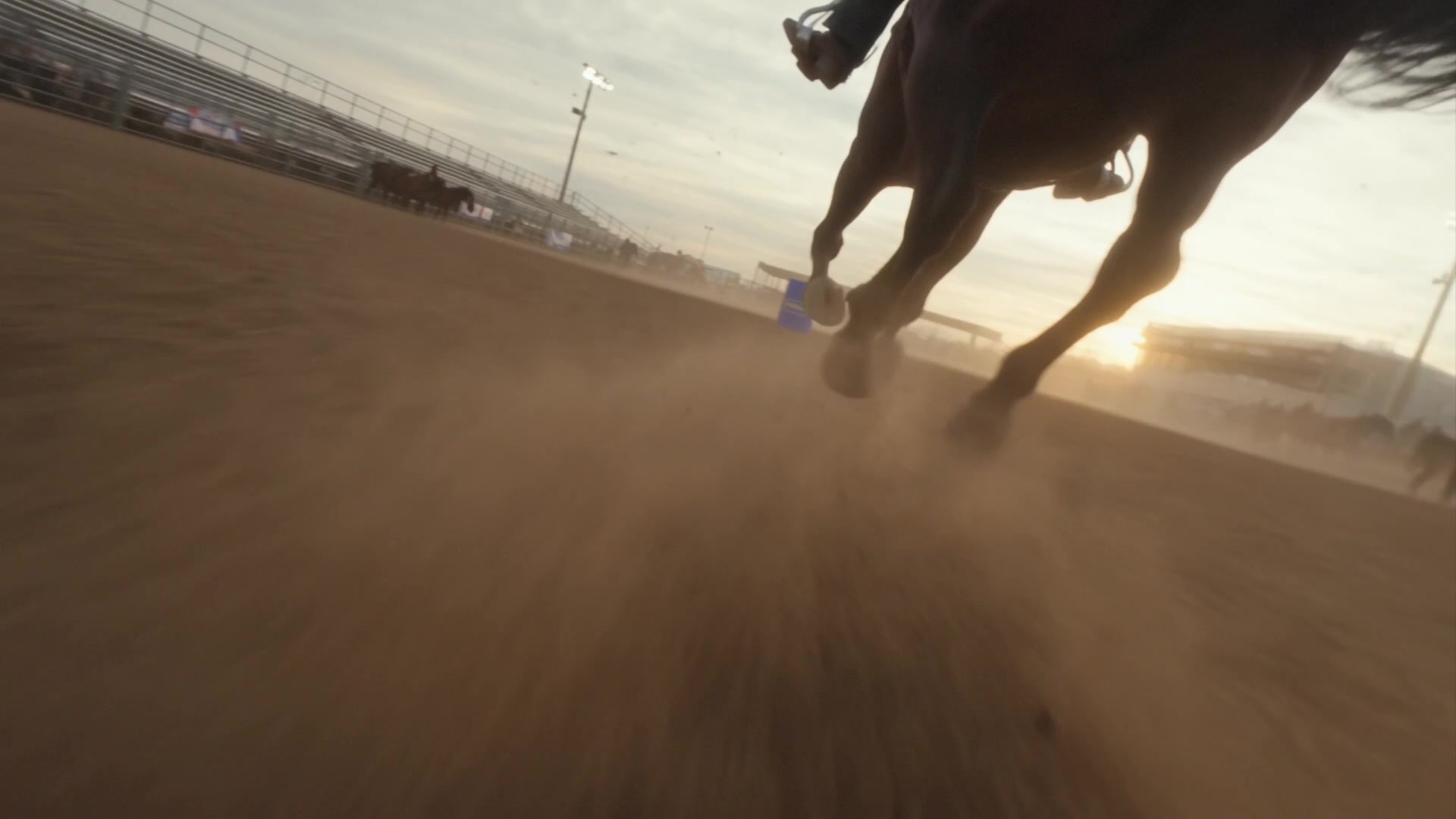 Farnam Apple Elite - Low tracking shot of a barrel racer galloping across the arena at sunrise