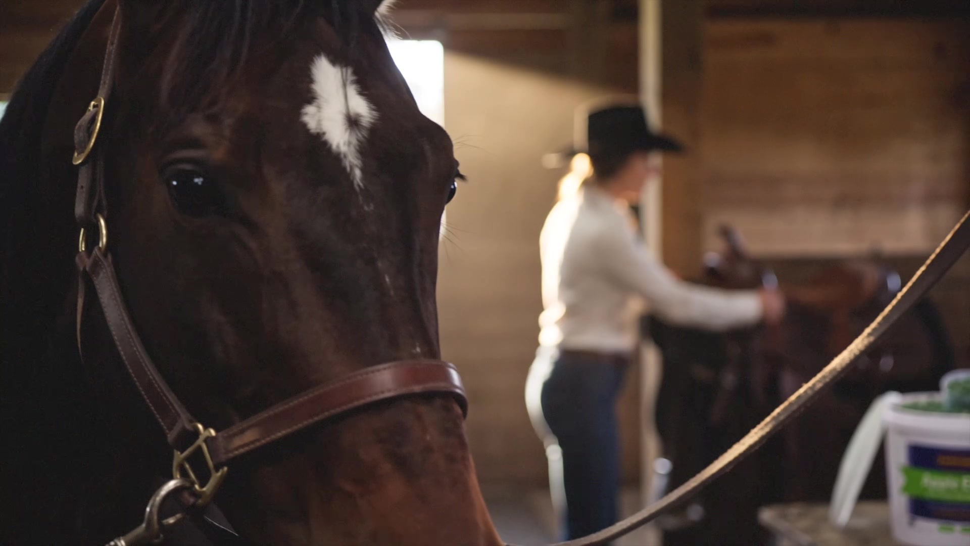 Farnam Apple Elite - Horse in the foreground while the owner saddles up, Apple Elite bucket nearby