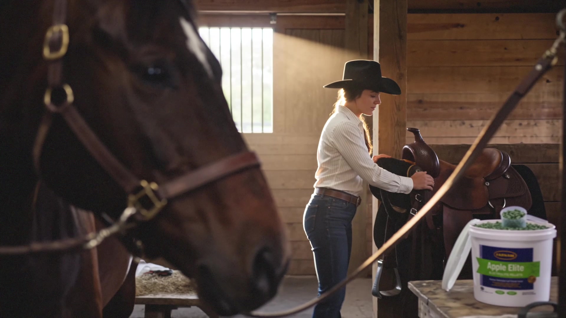 Farnam Apple Elite - Owner preparing the saddle in the stable with the Apple Elite bucket on the bench