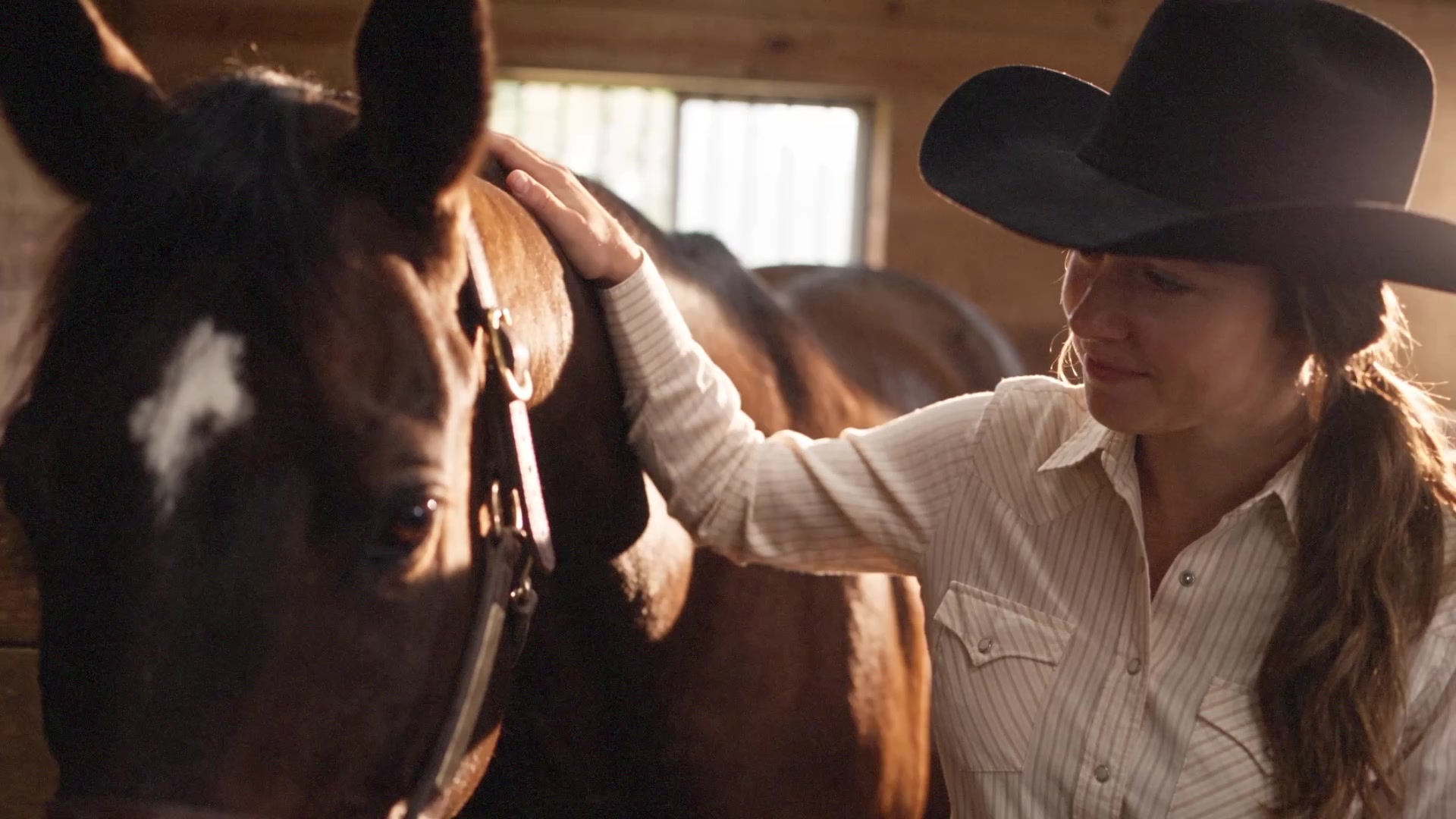 Farnam Apple Elite - Owner gently touching her horse in a quiet moment of trust